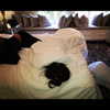 kyliejenner Altpins Profile Picture