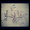 kyliejenner Altpins Profile Picture