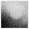 kyliejenner Altpins Profile Picture