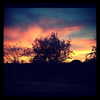 kyliejenner Altpins Profile Picture