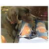 kyliejenner Altpins Profile Picture