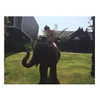 kyliejenner Altpins Profile Picture