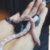 kyliejenner Altpins Profile Picture