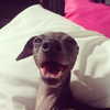 kyliejenner Altpins Profile Picture