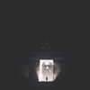 kyliejenner Altpins Profile Picture