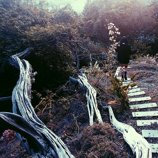 kyliejenner instagram image archive image