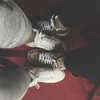 kyliejenner Altpins Profile Picture