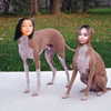 kyliejenner Altpins Profile Picture