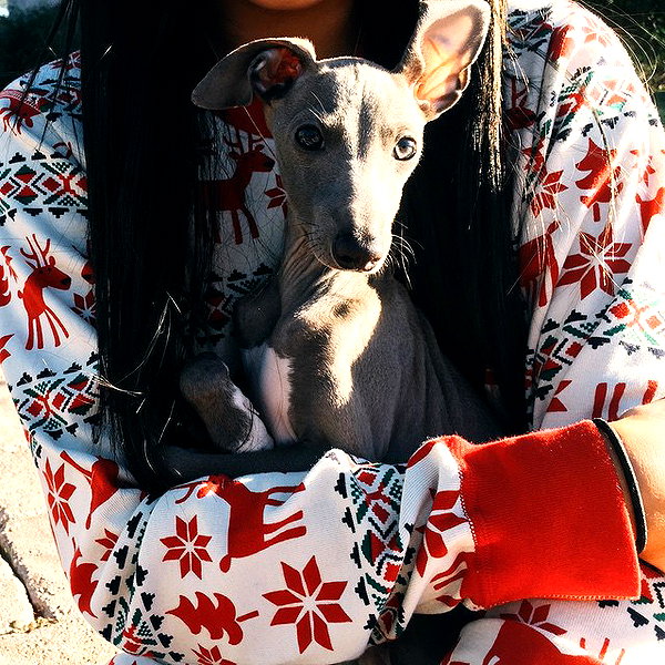 kyliejenner instagram image archive image