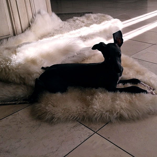 kyliejenner instagram image archive image