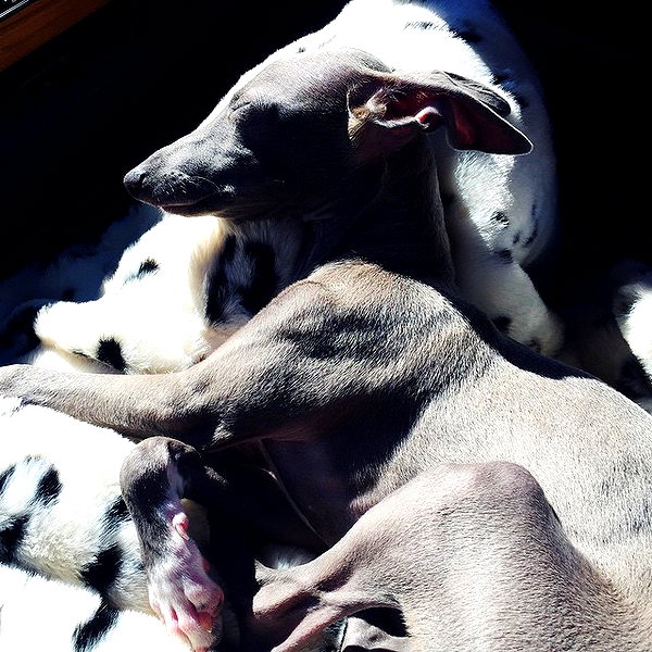 kyliejenner instagram image archive image