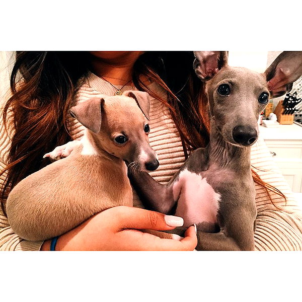 kyliejenner instagram image archive image