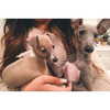 kyliejenner Altpins Profile Picture