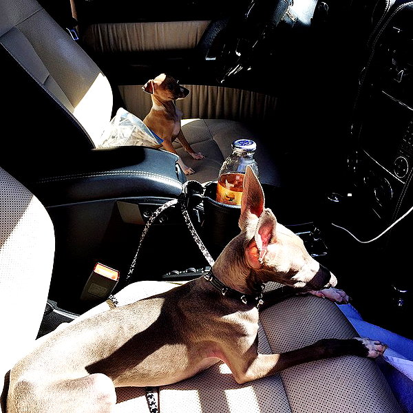 kyliejenner instagram image archive image