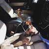 kyliejenner Altpins Profile Picture