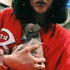 kyliejenner Altpins Profile Picture