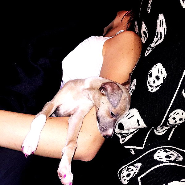 kyliejenner instagram image archive image