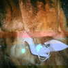 kyliejenner Altpins Profile Picture