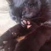 kyshenec Altpins Profile Picture