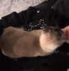 kyubwy Altpins Profile Picture