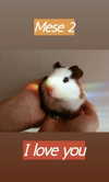 la.vica_ Altpins Profile Picture