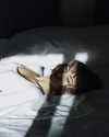 la.vica_ Altpins Profile Picture