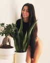 la.vica_ Altpins Profile Picture