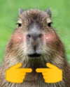 la.vica_ Altpins Profile Picture