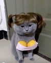 la.vica_ Altpins Profile Picture
