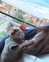 la.vica_ Altpins Profile Picture
