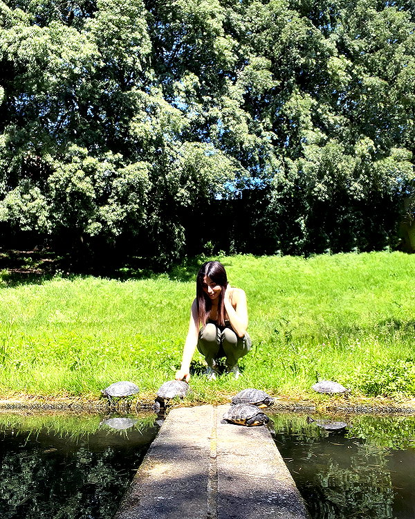 la.vica_ instagram image archive image