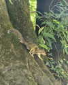 la.vica_ Altpins Profile Picture