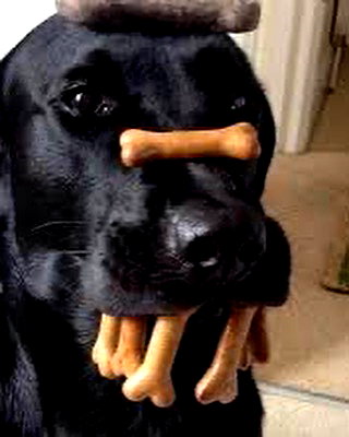 lamegfff instagram image archive image