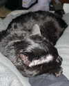 lamegfff Altpins Profile Picture