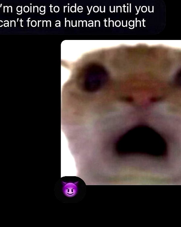lamegfff instagram image archive image