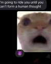 lamegfff Altpins Profile Picture