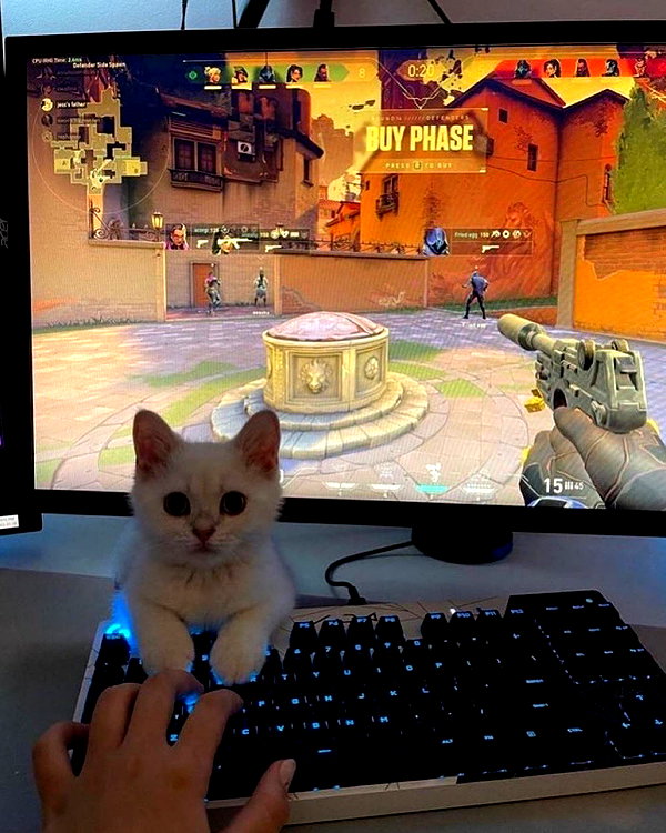 lamegfff instagram image archive image