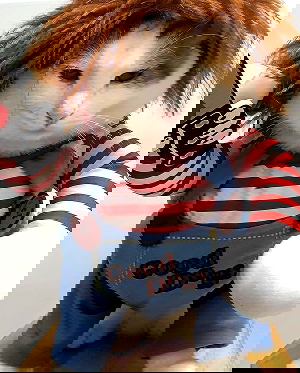 lapatronaz lapatronaz archive image