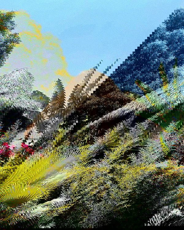 lapatronaz lapatronaz archive image