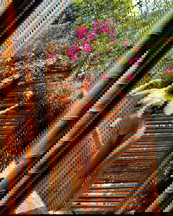 lapatronaz lapatronaz archive image