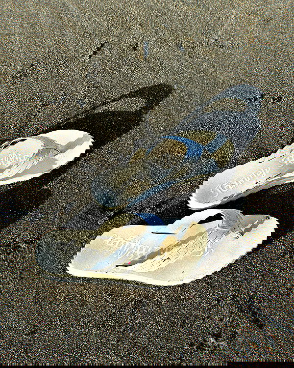 lapatronaz lapatronaz archive image