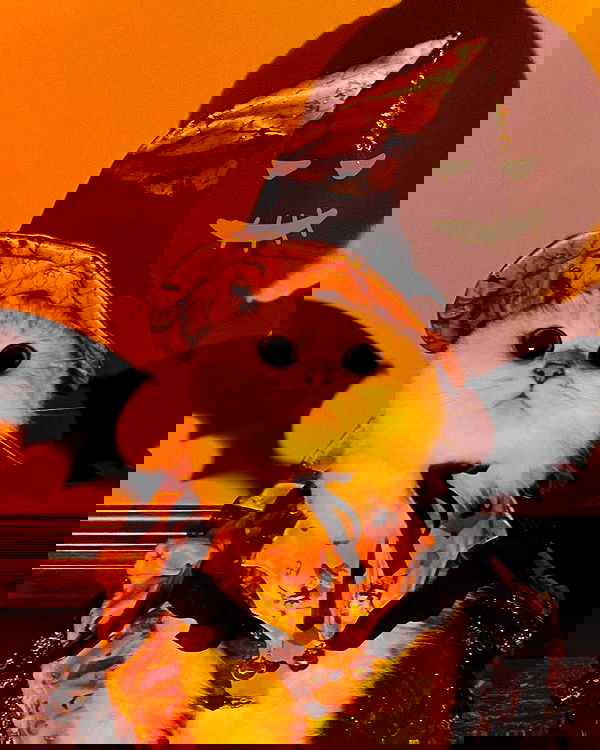 lapatronaz lapatronaz archive image