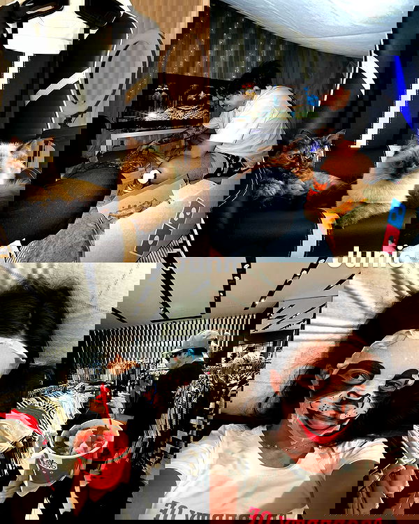 lapatronaz lapatronaz archive image