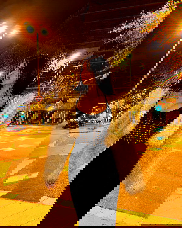 lapatronaz lapatronaz archive image