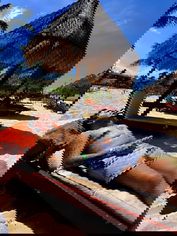 lapatronaz lapatronaz archive image