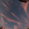 lauren8kkk Altpins Profile Picture