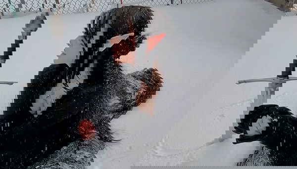 laurinchhhe image ~ Altpins