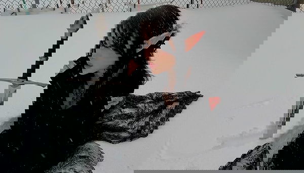 laurinchhhe image ~ Altpins