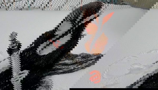 laurinchhhe image ~ Altpins