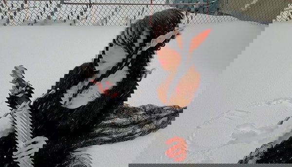 laurinchhhe image ~ Altpins